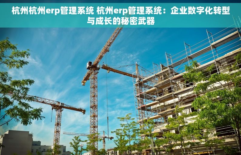 杭州杭州erp管理系统 杭州erp管理系统：企业数字化转型与成长的秘密武器