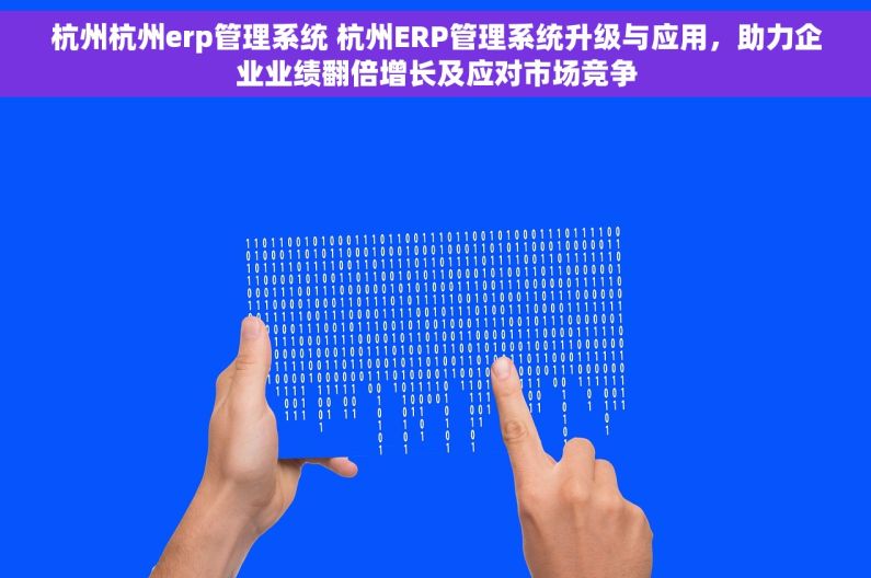 杭州杭州erp管理系统 杭州ERP管理系统升级与应用，助力企业业绩翻倍增长及应对市场竞争