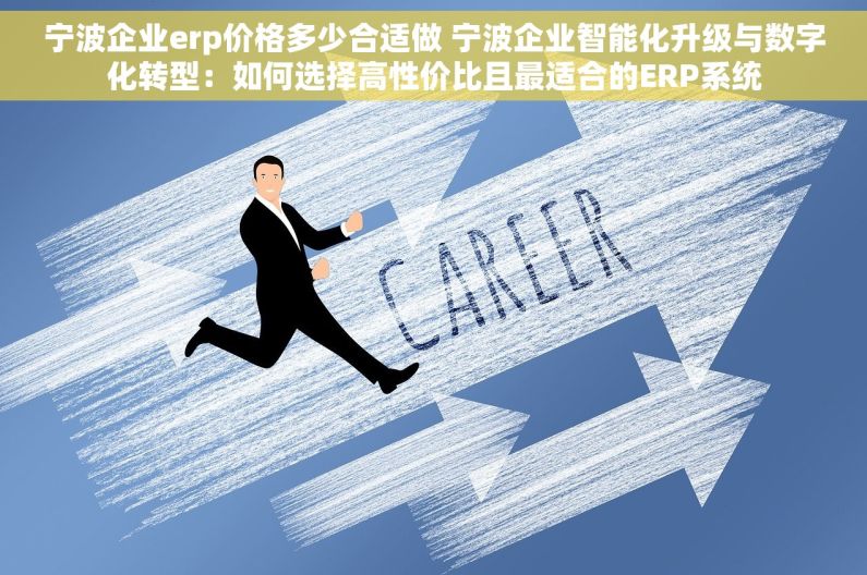宁波企业erp价格多少合适做 宁波企业智能化升级与数字化转型：如何选择高性价比且最适合的ERP系统