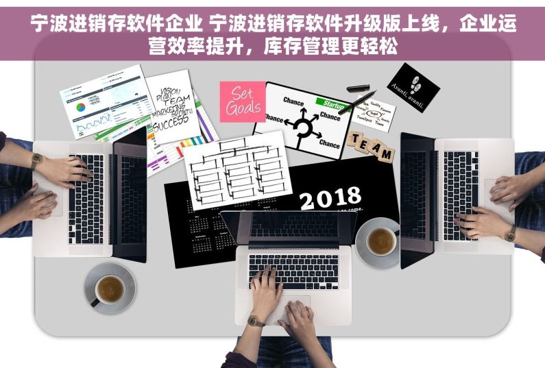 宁波进销存软件企业 宁波进销存软件升级版上线，企业运营效率提升，库存管理更轻松