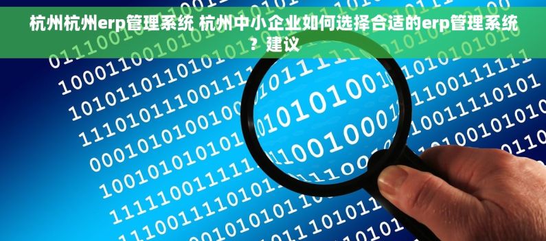 杭州杭州erp管理系统 杭州中小企业如何选择合适的erp管理系统？建议