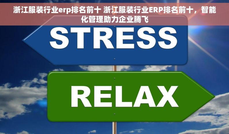 浙江服装行业erp排名前十 浙江服装行业ERP排名前十，智能化管理助力企业腾飞
