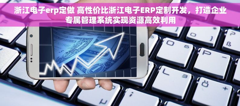 浙江电子erp定做 高性价比浙江电子ERP定制开发，打造企业专属管理系统实现资源高效利用