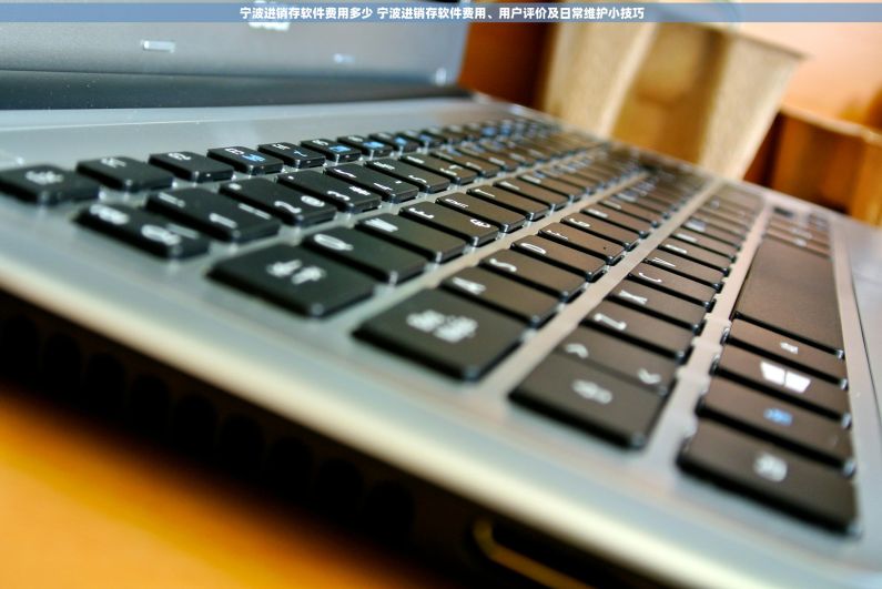 宁波进销存软件费用多少 宁波进销存软件费用、用户评价及日常维护小技巧