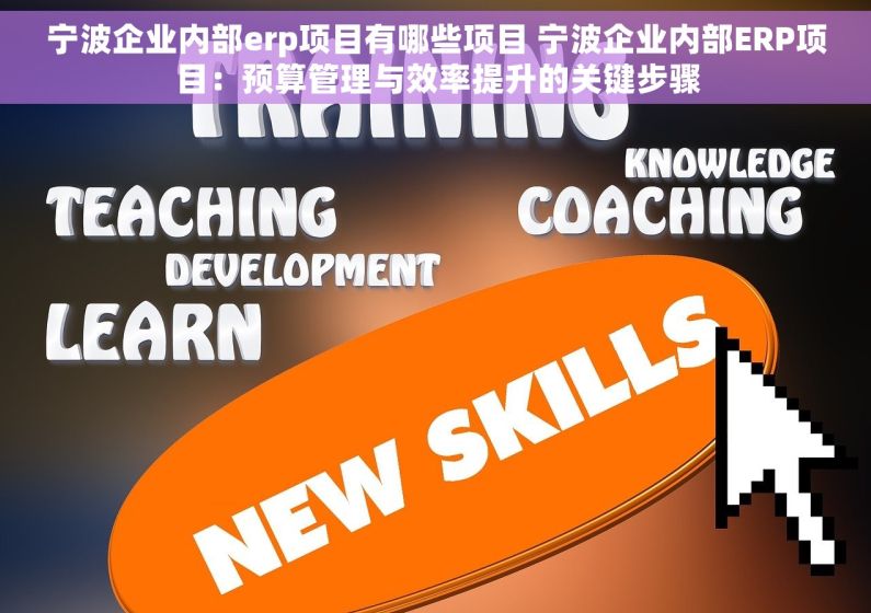 宁波企业内部erp项目有哪些项目 宁波企业内部ERP项目：预算管理与效率提升的关键步骤