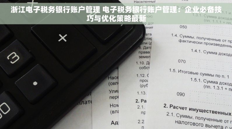 浙江电子税务银行账户管理 电子税务银行账户管理：企业必备技巧与优化策略最新