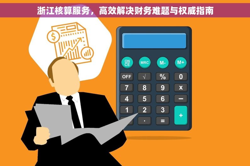 浙江核算服务，高效解决财务难题与权威指南