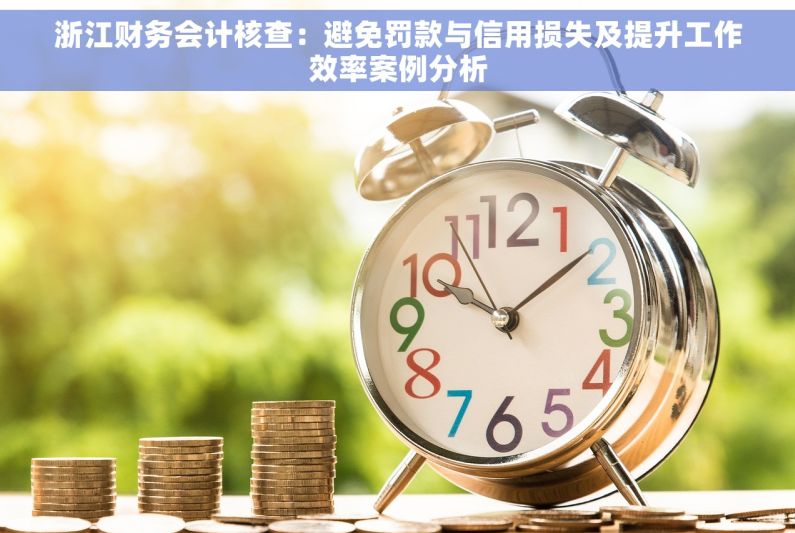 浙江财务会计核查：避免罚款与信用损失及提升工作效率案例分析
