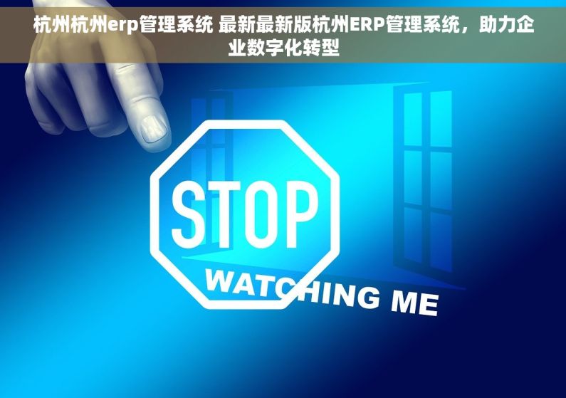 杭州杭州erp管理系统 最新最新版杭州ERP管理系统，助力企业数字化转型