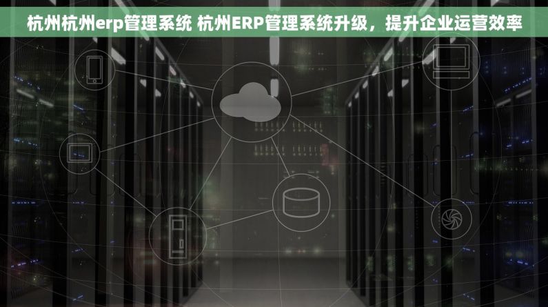 杭州杭州erp管理系统 杭州ERP管理系统升级，提升企业运营效率