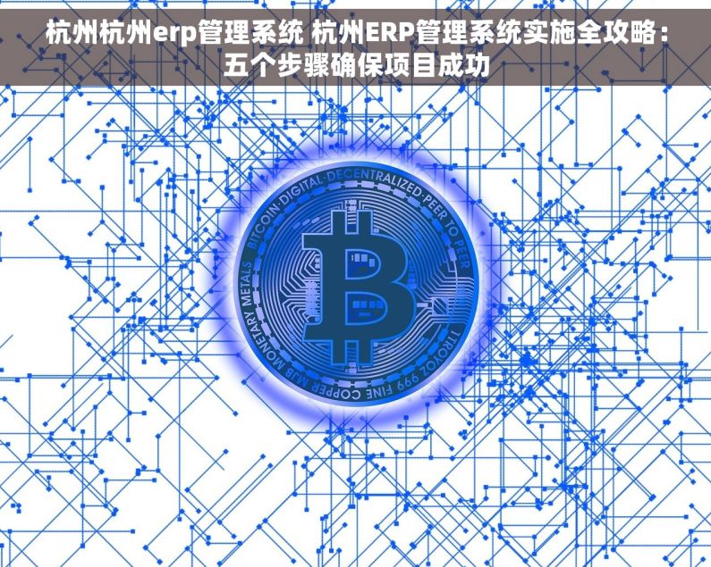 杭州杭州erp管理系统 杭州ERP管理系统实施全攻略：五个步骤确保项目成功