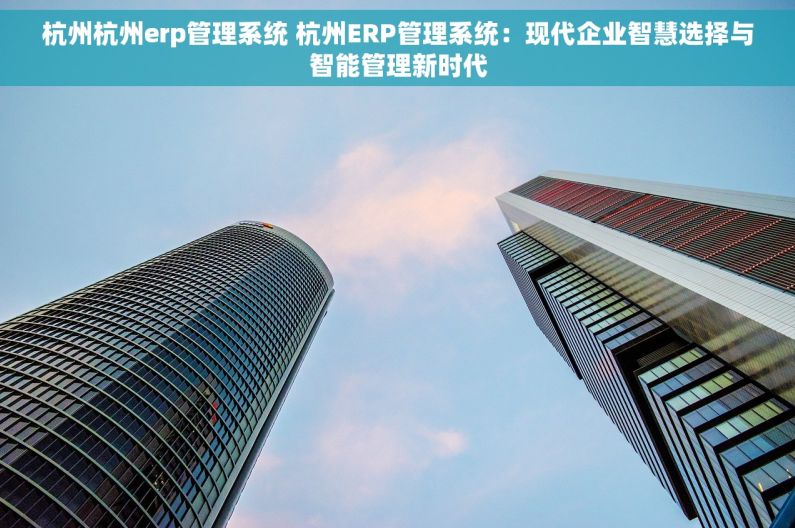 杭州杭州erp管理系统 杭州ERP管理系统：现代企业智慧选择与智能管理新时代