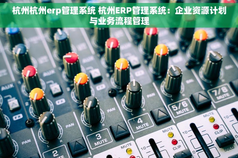 杭州杭州erp管理系统 杭州ERP管理系统：企业资源计划与业务流程管理