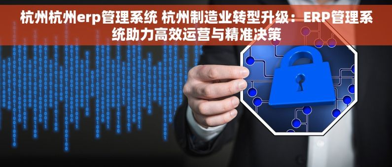 杭州杭州erp管理系统 杭州制造业转型升级：ERP管理系统助力高效运营与精准决策