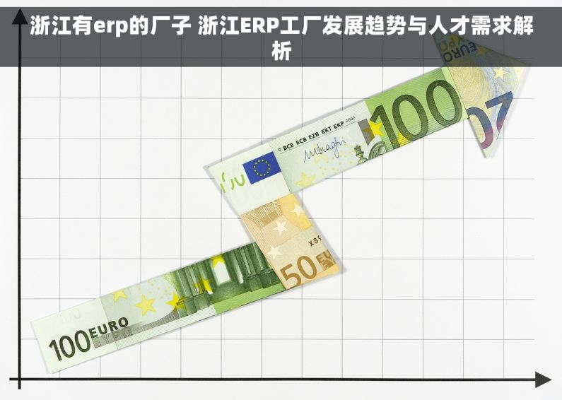 浙江有erp的厂子 浙江ERP工厂发展趋势与人才需求解析