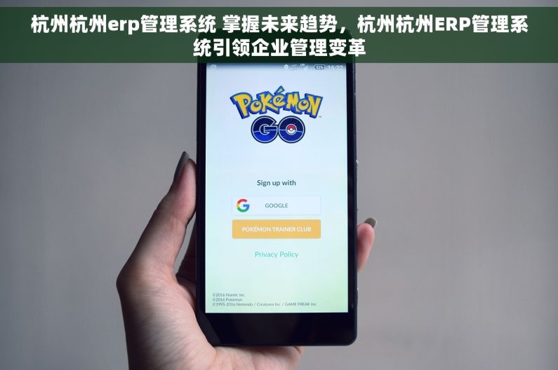 杭州杭州erp管理系统 掌握未来趋势，杭州杭州ERP管理系统引领企业管理变革