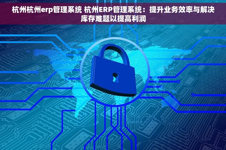 杭州杭州erp管理系统 杭州ERP管理系统：提升业务效率与解决库存难题以提高利润