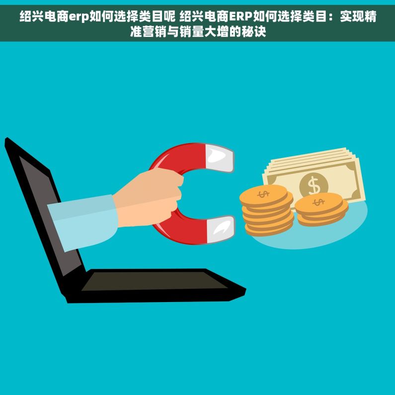 绍兴电商erp如何选择类目呢 绍兴电商ERP如何选择类目：实现精准营销与销量大增的秘诀