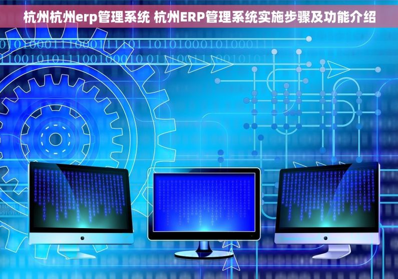 杭州杭州erp管理系统 杭州ERP管理系统实施步骤及功能介绍