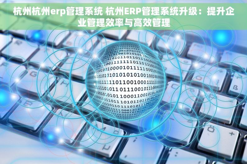 杭州杭州erp管理系统 杭州ERP管理系统升级：提升企业管理效率与高效管理