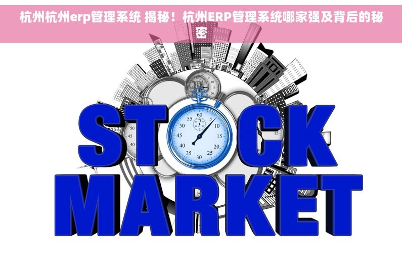 杭州杭州erp管理系统 揭秘！杭州ERP管理系统哪家强及背后的秘密