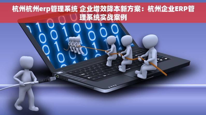 杭州杭州erp管理系统 企业增效降本新方案：杭州企业ERP管理系统实战案例