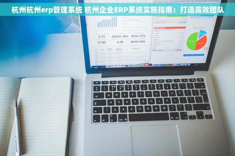 杭州杭州erp管理系统 杭州企业ERP系统实施指南：打造高效团队