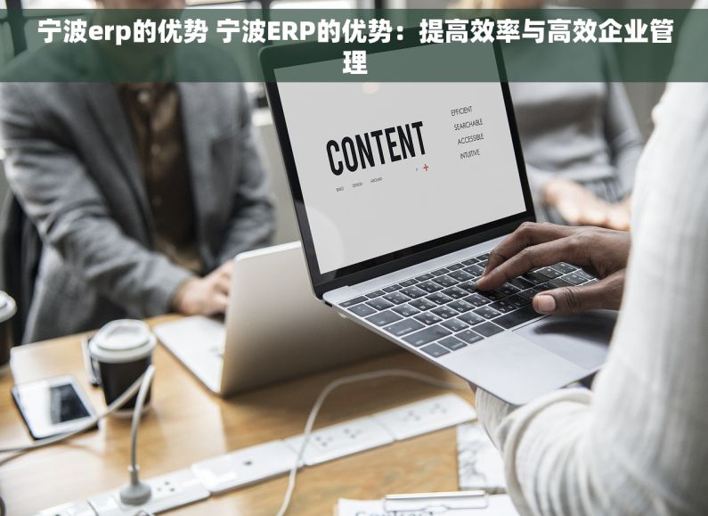 宁波erp的优势 宁波ERP的优势：提高效率与高效企业管理