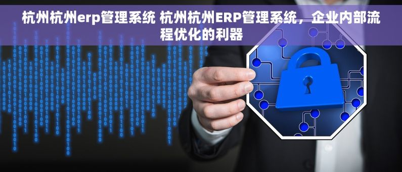 杭州杭州erp管理系统 杭州杭州ERP管理系统，企业内部流程优化的利器