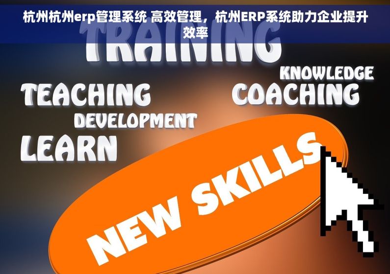 杭州杭州erp管理系统 高效管理，杭州ERP系统助力企业提升效率