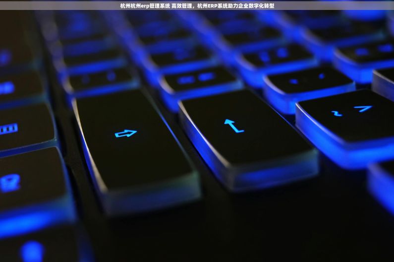 杭州杭州erp管理系统 高效管理，杭州ERP系统助力企业数字化转型