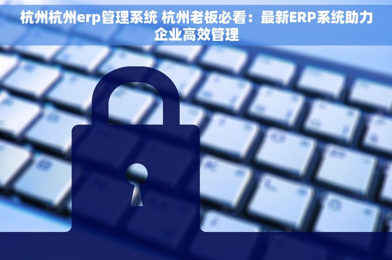 杭州杭州erp管理系统 杭州老板必看：最新ERP系统助力企业高效管理