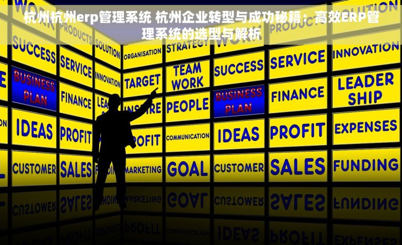 杭州杭州erp管理系统 杭州企业转型与成功秘籍：高效ERP管理系统的选型与解析