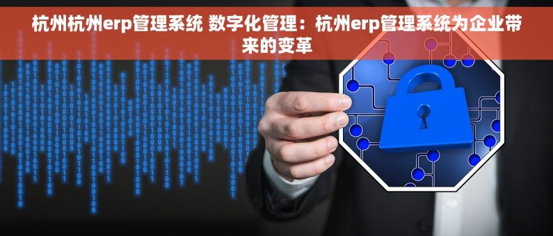 杭州杭州erp管理系统 数字化管理：杭州erp管理系统为企业带来的变革