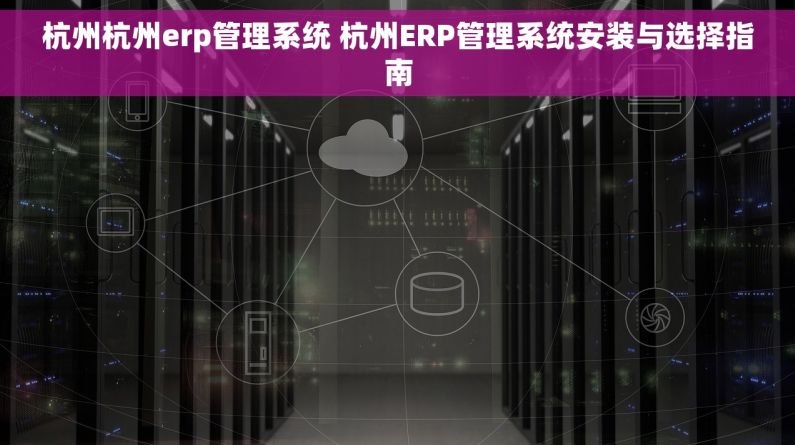 杭州杭州erp管理系统 杭州ERP管理系统安装与选择指南