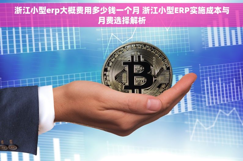 浙江小型erp大概费用多少钱一个月 浙江小型ERP实施成本与月费选择解析