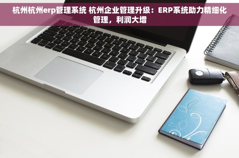 杭州杭州erp管理系统 杭州企业管理升级：ERP系统助力精细化管理，利润大增