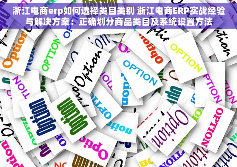 浙江电商erp如何选择类目类别 浙江电商ERP实战经验与解决方案：正确划分商品类目及系统设置方法