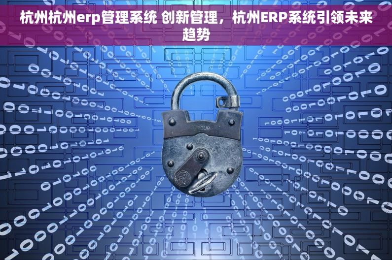 杭州杭州erp管理系统 创新管理，杭州ERP系统引领未来趋势