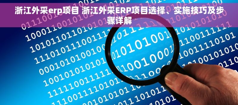 浙江外采erp项目 浙江外采ERP项目选择、实施技巧及步骤详解