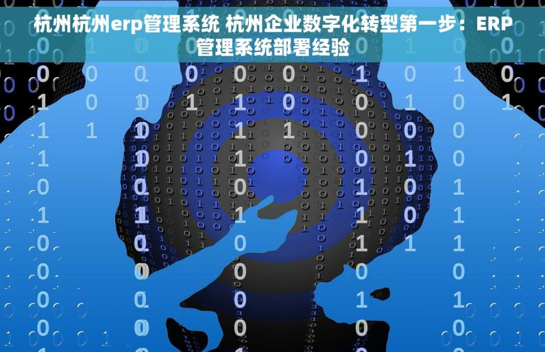 杭州杭州erp管理系统 杭州企业数字化转型第一步：ERP管理系统部署经验