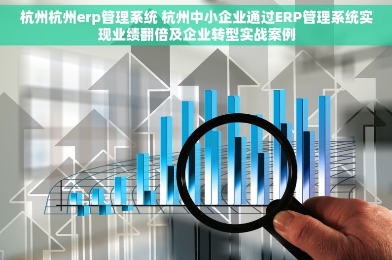 杭州杭州erp管理系统 杭州中小企业通过ERP管理系统实现业绩翻倍及企业转型实战案例