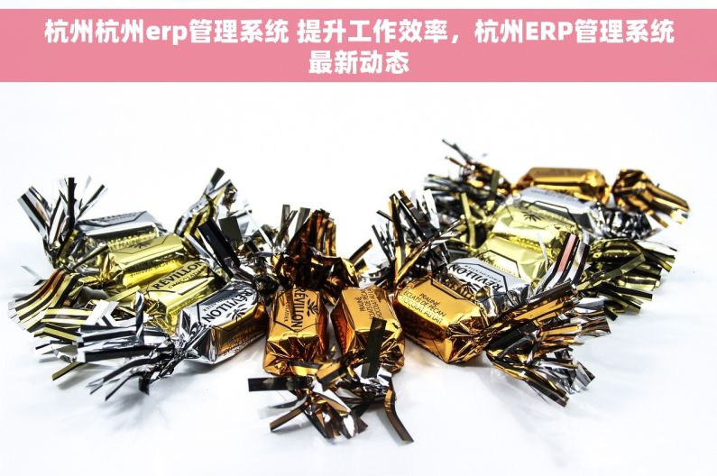 杭州杭州erp管理系统 提升工作效率，杭州ERP管理系统最新动态