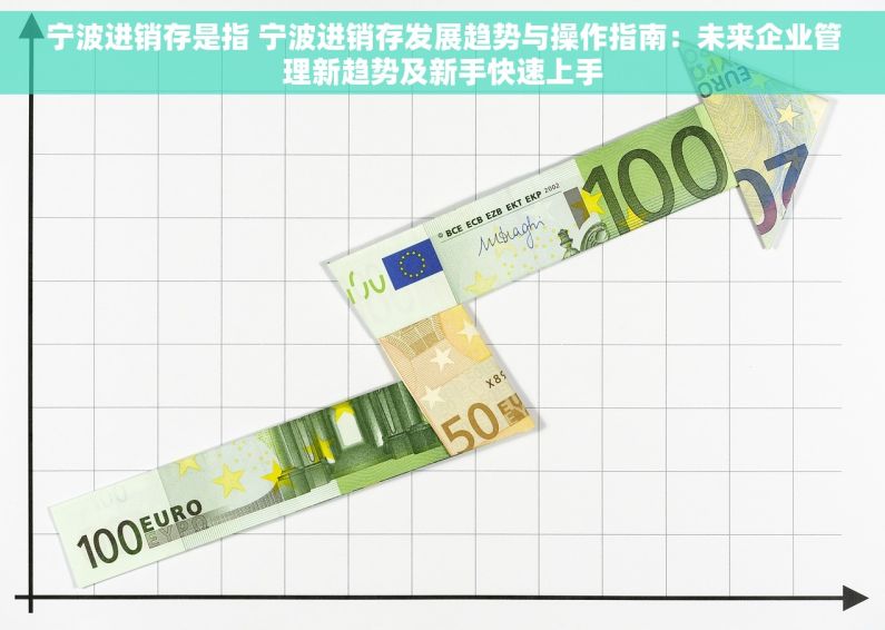 宁波进销存是指 宁波进销存发展趋势与操作指南：未来企业管理新趋势及新手快速上手