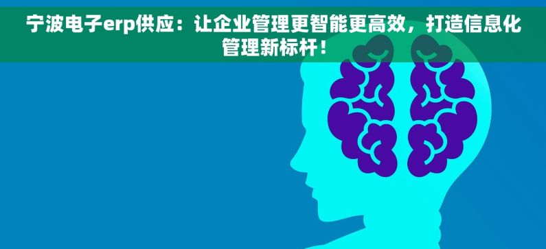 宁波电子erp供应：让企业管理更智能更高效，打造信息化管理新标杆！