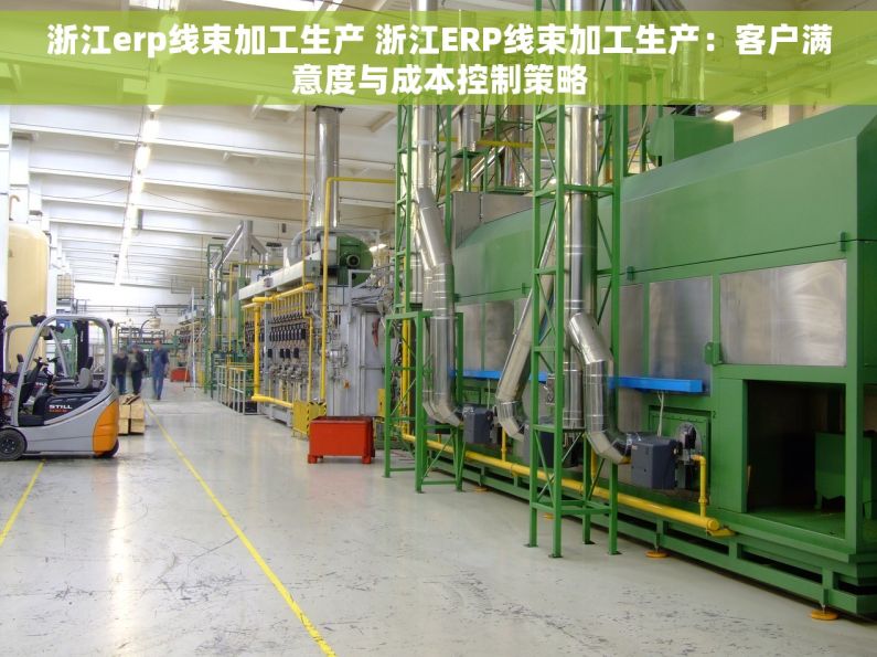 浙江erp线束加工生产 浙江ERP线束加工生产：客户满意度与成本控制策略