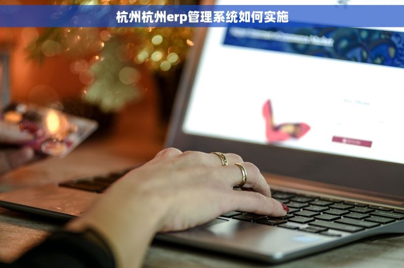 杭州杭州erp管理系统如何实施