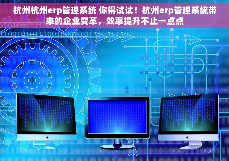 杭州杭州erp管理系统 你得试试！杭州erp管理系统带来的企业变革，效率提升不止一点点