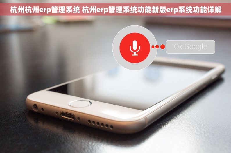 杭州杭州erp管理系统 杭州erp管理系统功能新版erp系统功能详解