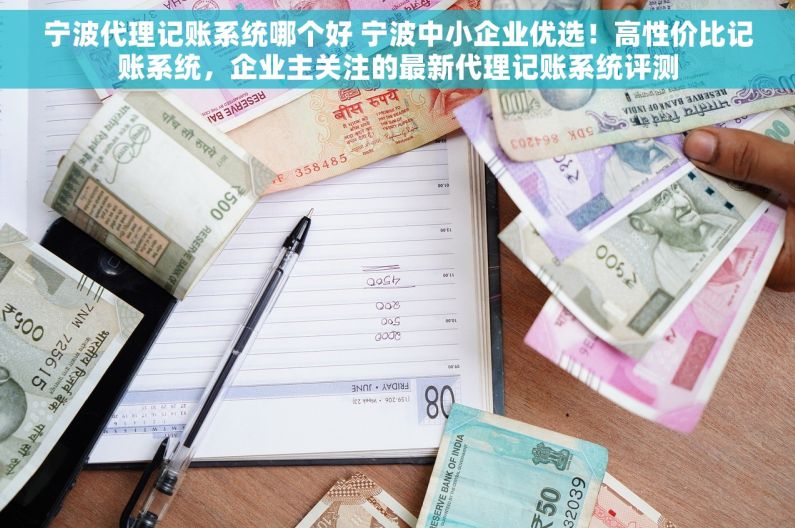 宁波代理记账系统哪个好 宁波中小企业优选！高性价比记账系统，企业主关注的最新代理记账系统评测